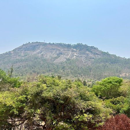 Summer House Nandi Foothills Luaran gambar